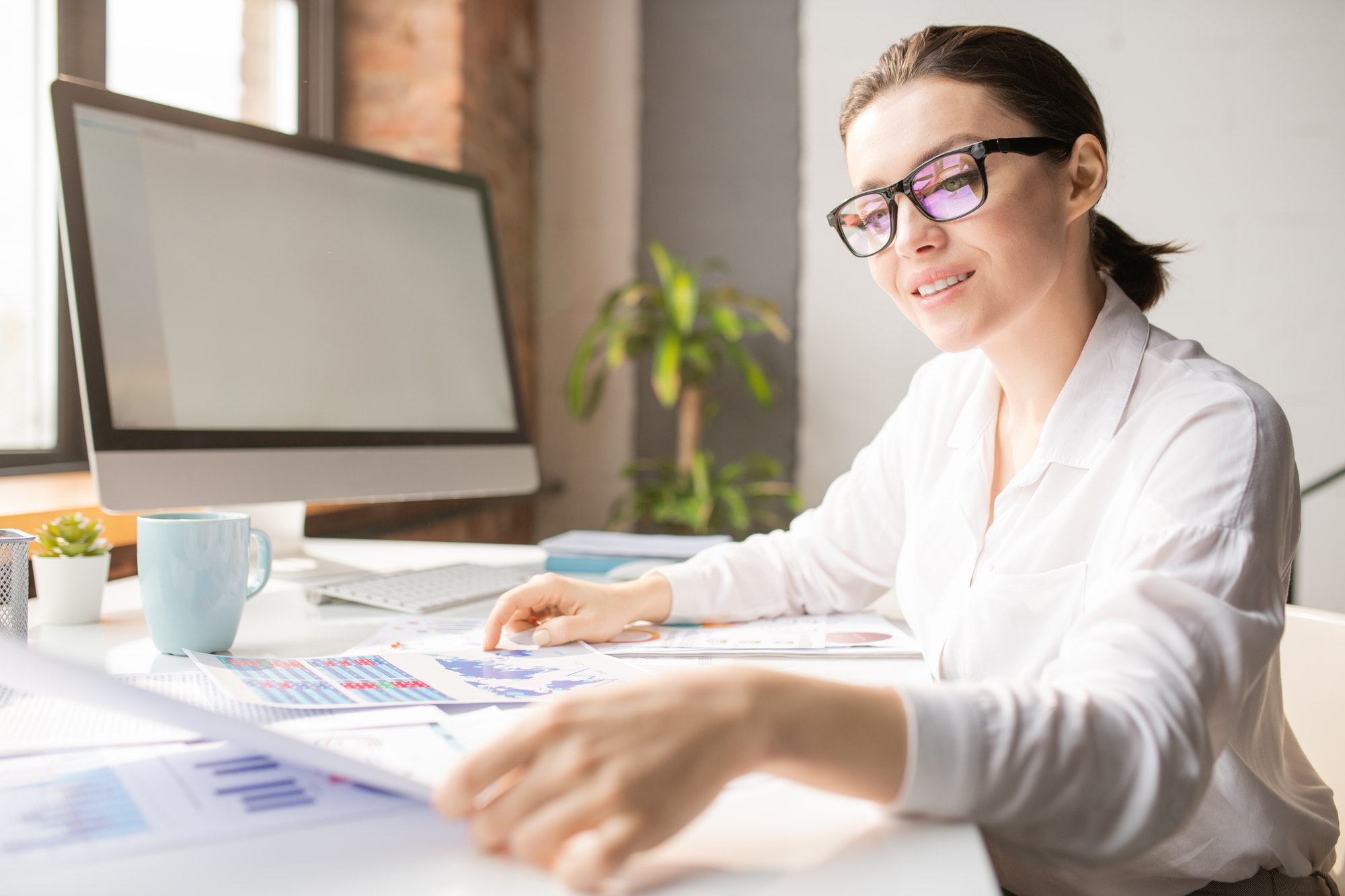 Accountant by workplace